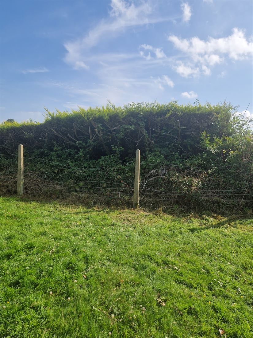The same fence line cleared, with the grass raked over