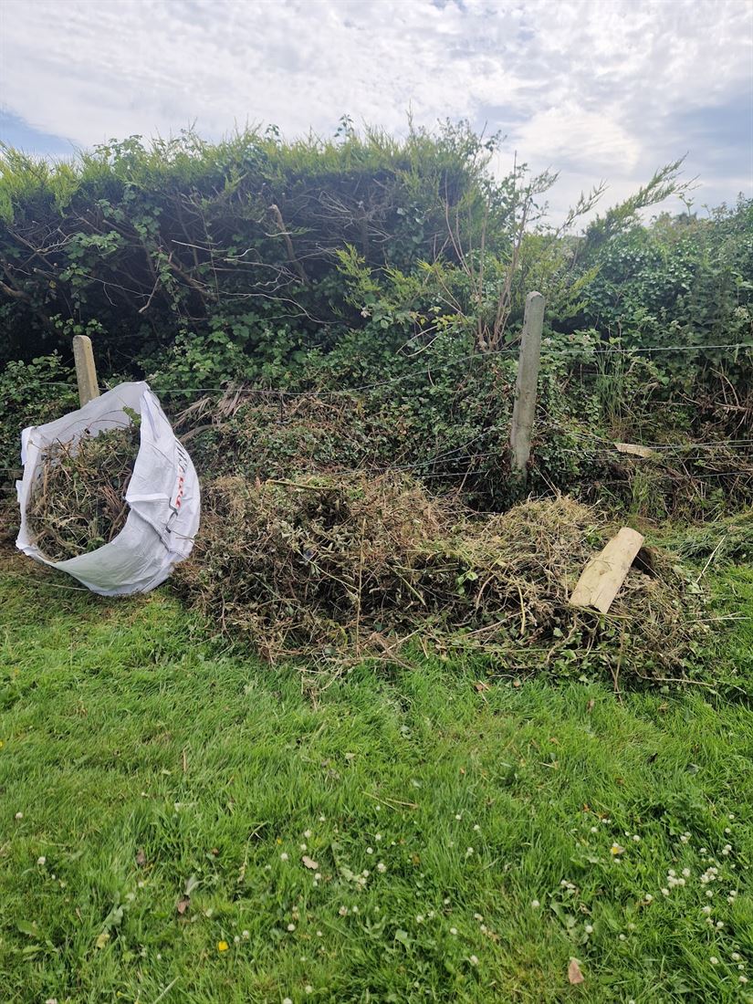 Hedge cuttings and garden waste piled along a fence line before collection
