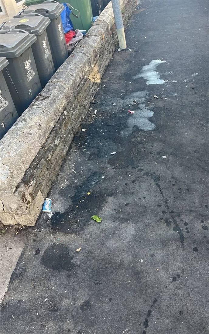 The same back lane cleared and swept clean